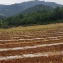 해맑음농장 이미지