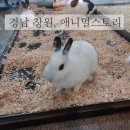 내서읍1320 이미지