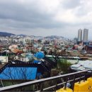 유달산 딸기 이미지