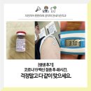 내안애내과의원 | 의료진 코로나19 백신 접종 후 48시간 후기, 걱정 말고 다 같이 맞으세요.