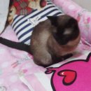 상봉2동 (1) 이미지