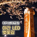 낙동북로 | 낙동강30리 벚꽃축제 야간 LED 벚꽃길 방문후기 (강서구청 역세권 주차장 주차 꿀팁)