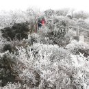 한라산모텔 이미지