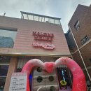 윙키핑키 | 윙키핑키 선유도역 고양이카페 다녀온 후기