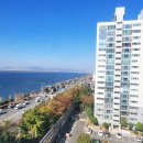 하단동1076 이미지