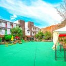 파트라슈 애견 펜션 이미지