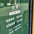 고양이 미용실 안냥 이미지