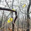 온수리(터미널) 이미지