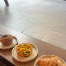 엘오비주 | [호주 워홀] Day 263 - 270 별일없이 산다