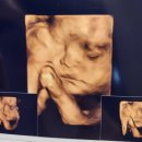 사나브로우 | [일상] 설연휴 일상 / 24~27주 임신일기👶🏻