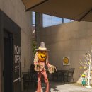 텃밭 청국장 보리밥 이미지