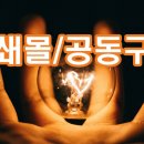 블루오션몰