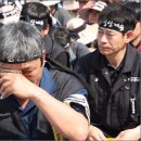 리본나무 이미지