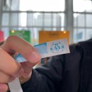 쏘큐트 펫살롱 | 2025 부산 궁디팡팡 궁팡 둘째날 방문 후기