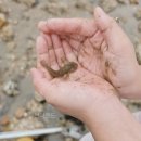 이마트24 연수서해점 | 영종도 선녀바위해변 주차와 물때 확인하고 다녀온 서해 바다 산책 후기