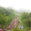 대지(大地)의 꿈 이미지