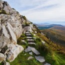 연하엽구름다리 이미지