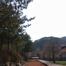 다리안 황토길 이미지