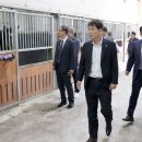 대전승마장 이미지