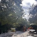 동동카워시 | 신혼여행_무스띠에 생트마리(별이 지지않는 마을), 베르동협곡, 남프랑스 렌트카여행 (25.10.04~25.10.06)