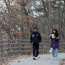 투어일일사주