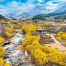 구례로선 이미지