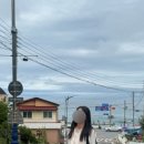 당우농장 네이버블로그