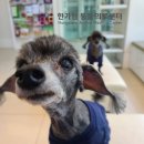 형제동물의료센터 이미지