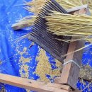 순정농장 이미지