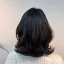 청춘미용실 - 제주시 | 제주미용실 살롱드청춘 레이어드 중단발 C컬펌 후기