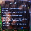 한국 아름다운길 100선에 선정된 트레킹 로드ㅡ여수 오동도 이미지