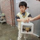 [김포미술관] 시카키즈랩 과자기차만들기 키즈클래스