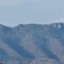 수산리-2 이미지