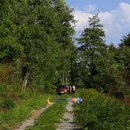 스트로마톨라이트 이미지