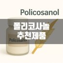 (주)내츄럴스푸드 | 폴리코사놀 효능, 고지혈증 추천제품 Top 3 - 고지혈증 콜레스테롤 개선