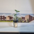 위미사랑하우스 이미지