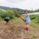 찰익은토마토농장