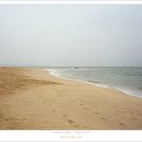 등명해변 이미지