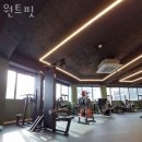 원트핏 이미지