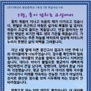 광성3호 네이버블로그