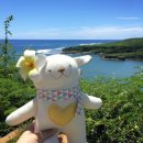 플라워 엘라 이미지