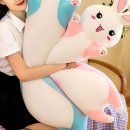 (주)바디로 이미지