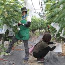 부여군농업기술센터 이미지