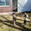 신성마을회관 이미지