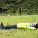 한천자연휴양림 이미지