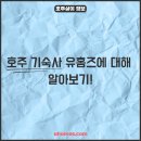 트리니티부동산중개주식회사 | 호주 기숙사, 부동산, 쉐어하우스, 호주 유학의 시작 유홈즈