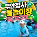 강원도청제2청사 | 무안청사 물놀이장 초등학생 아이들과 다녀온 후기, 무료 물놀이장 준비물