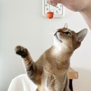 (주)청려원 | 6월, 나의 일상 이야기들