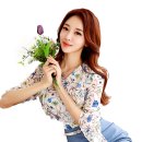 png 모음 이미지