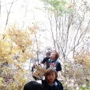 하늘꽃마을 이미지